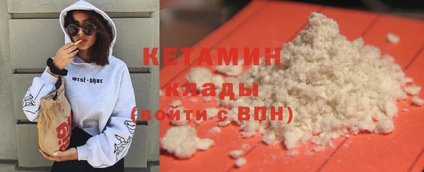 шишки Осинники
