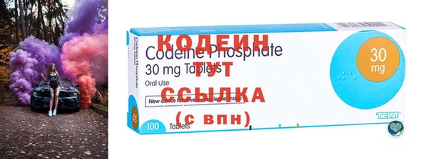 шишки Осинники