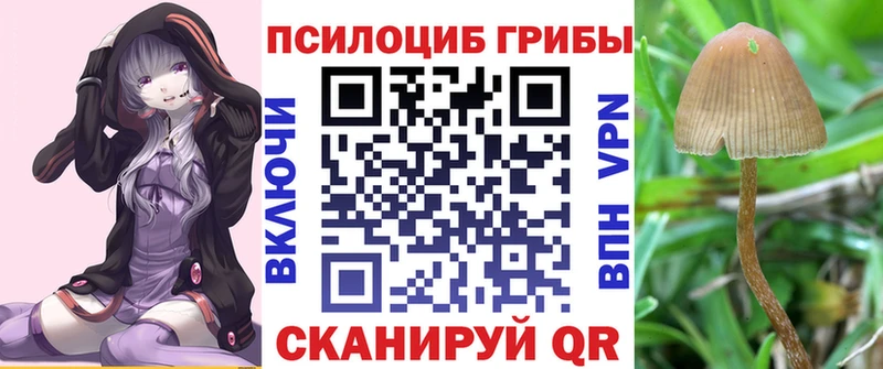 Галлюциногенные грибы Psilocybe  где продают   Искитим 